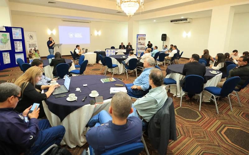 Realizan taller para la validación del mapa de cobertura vegetal