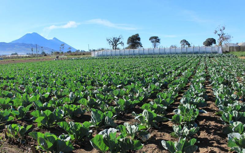 Se aleja el frío, ingresa la temporada de calor y lluvias