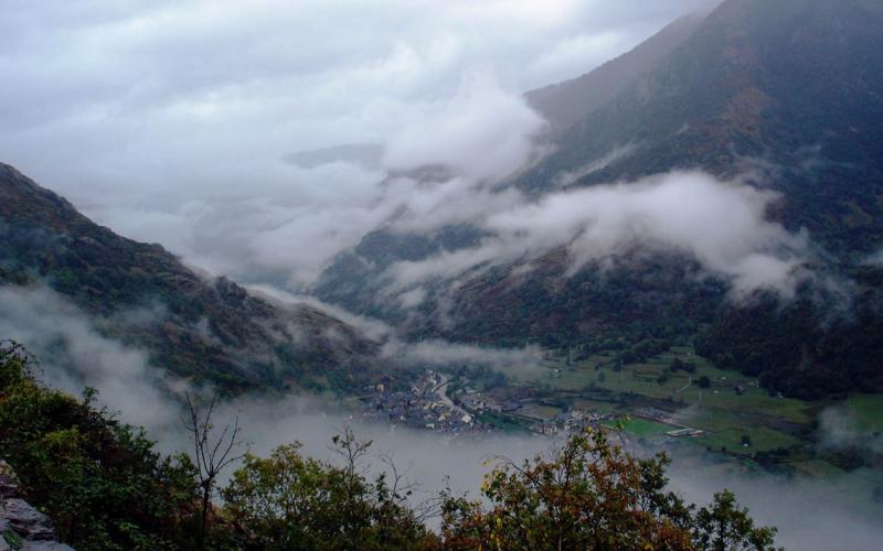 Se monitorean 218 municipios para la protección de cultivos