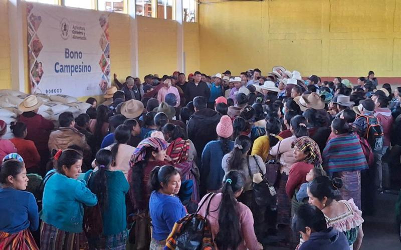 Semillas criollas llegan a más de mil agricultores y agricultoras gracias al Bono Campesino 
