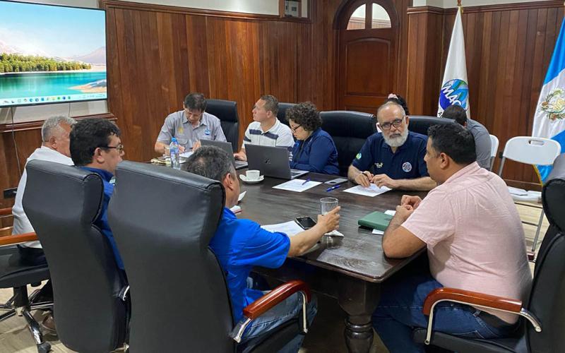 Tres países unifican acciones para combatir la hormiga roja loca