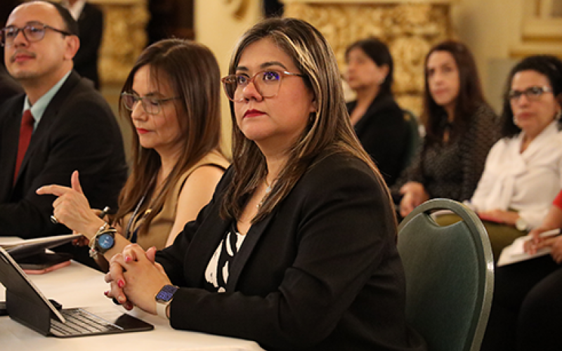 La Directora de ONSEC asistió a la Segunda Reunión Ordinaria del GEDS.