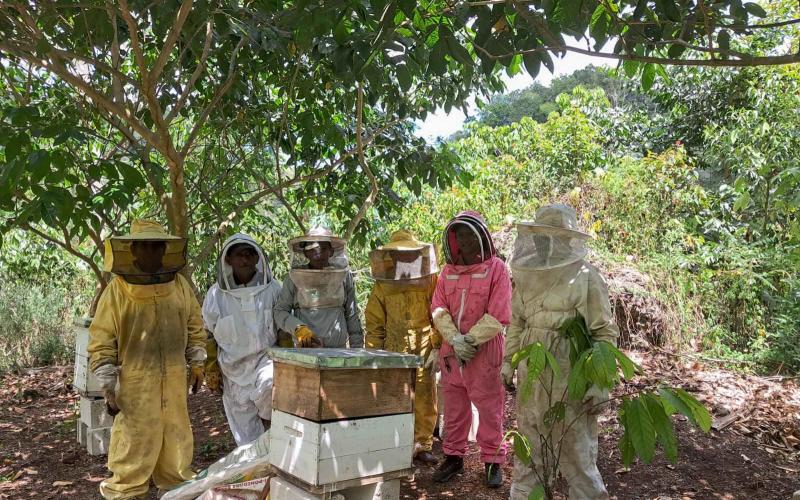 Apicultores de Dolores fortalecen sus conocimientos en Apicultura Tropical