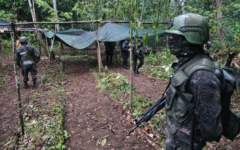 Ejército de Guatemala erradicó 318 mil arbustos de coca en Alta Verapaz.