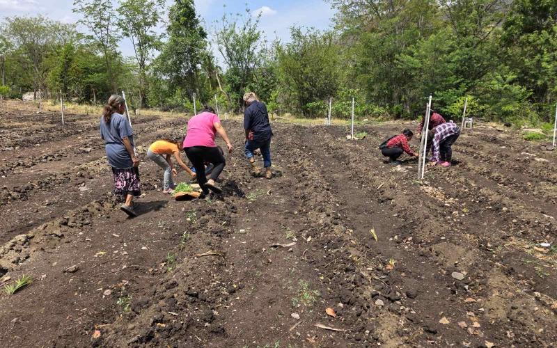 Implementan huerto comunitario en Río Hondo