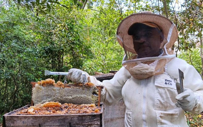 Asistencia técnica fortalece la producción apícola de San Andrés, Petén