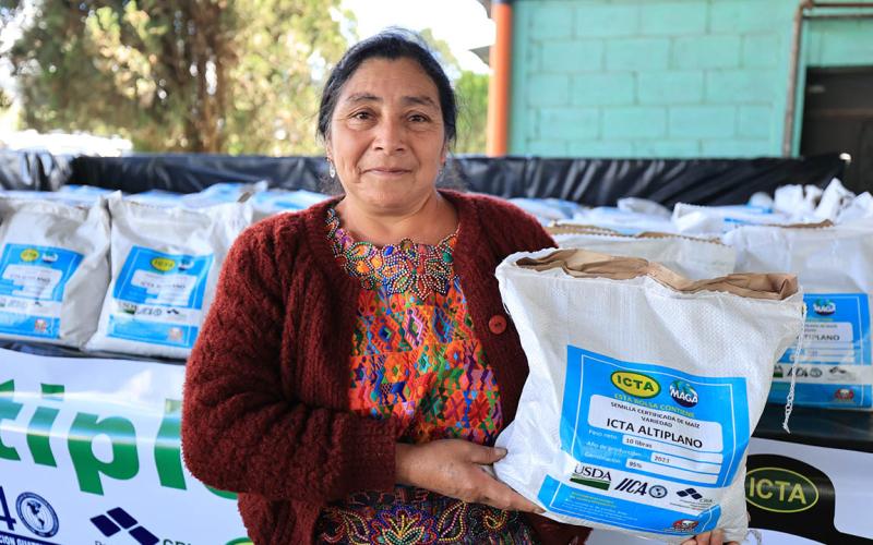 Beneficios de la semilla de maíz ICTA-Altiplano