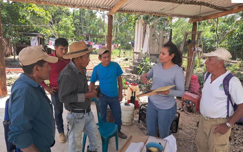 Capacitación técnica especializada fortalece sector apícola de Petén 