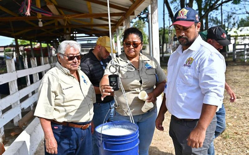 Concurso resalta el potencial del hato lechero en Petén