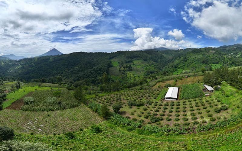 Continuarán las lluvias y las altas temperaturas en el territorio nacional 