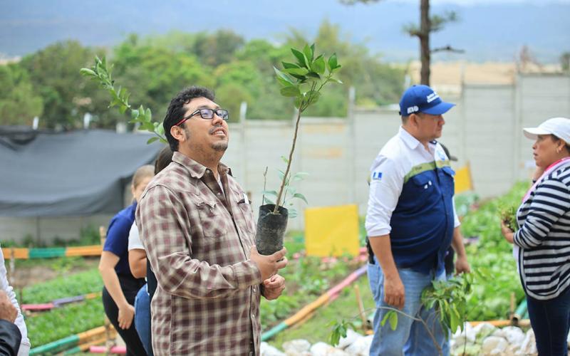 Coseche la fruta de su propio árbol