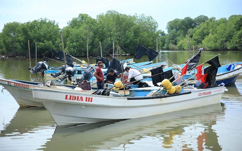 Decretan veda temporal para varias especies en el Atlántico