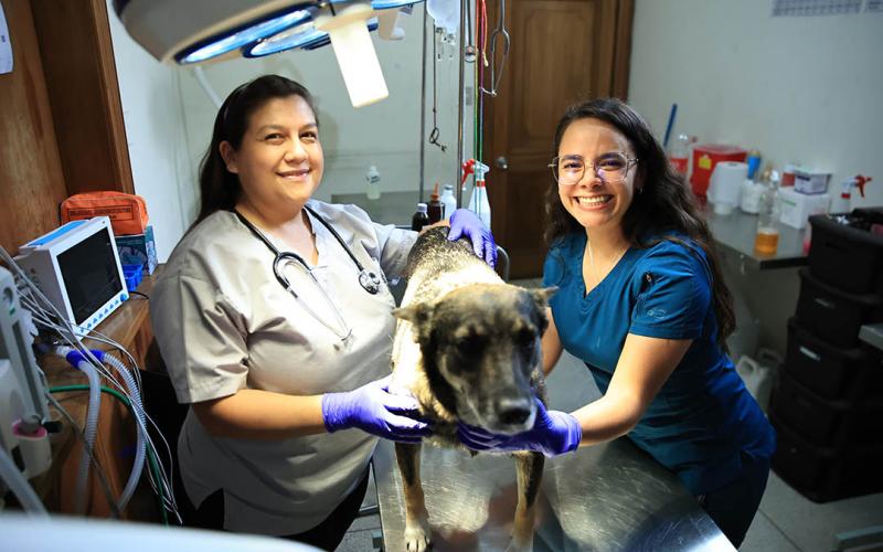 Detrás de cada animal protegido, hay un veterinario comprometido