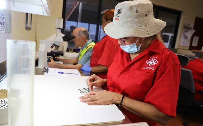 Dispersadas más de 804 millones de moscas estériles para el combate del Gusano Barrenador del Ganado