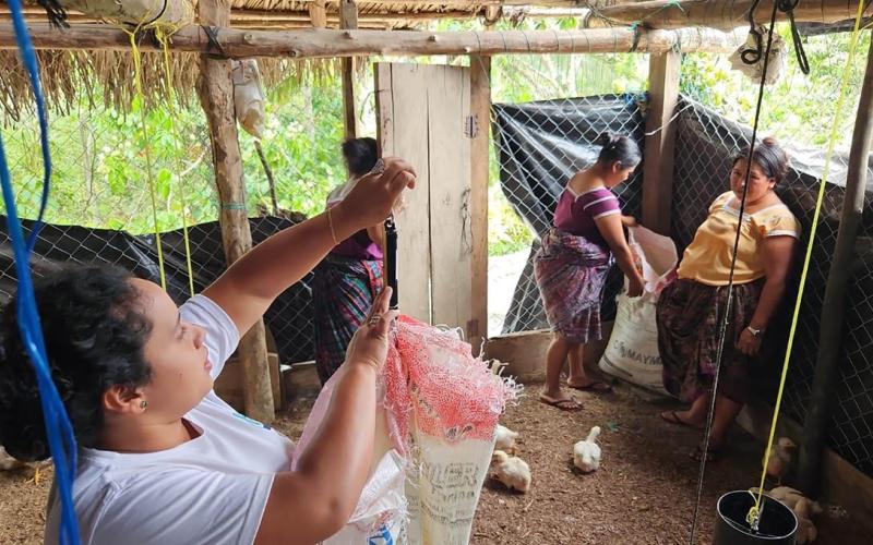 Distribuyen concentrado en granjas ubicadas en Zona de Adyacencia