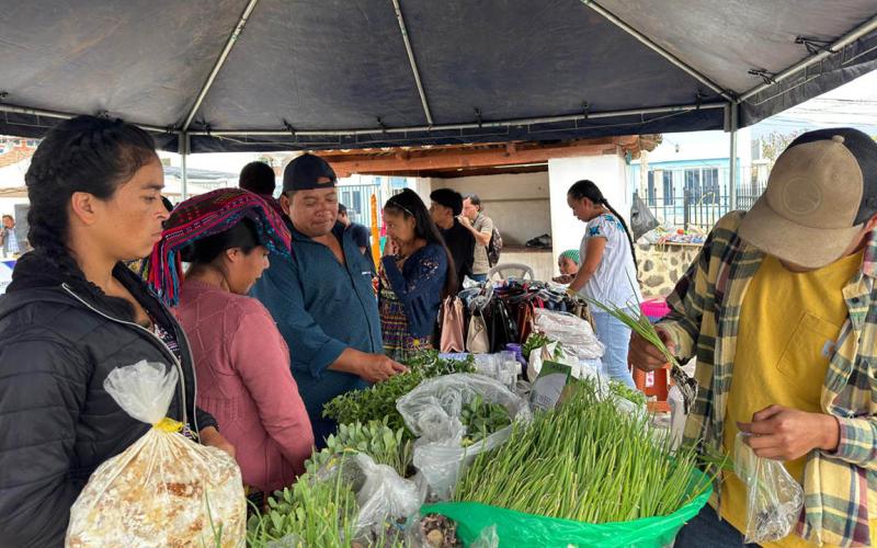 Feria del Agricultor impulsa la producción de Quiché