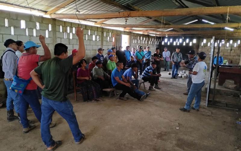 Fortalecen conocimientos de productores de cacao