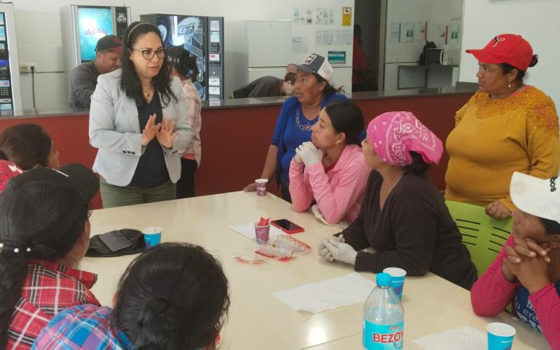 comunicado del Minex