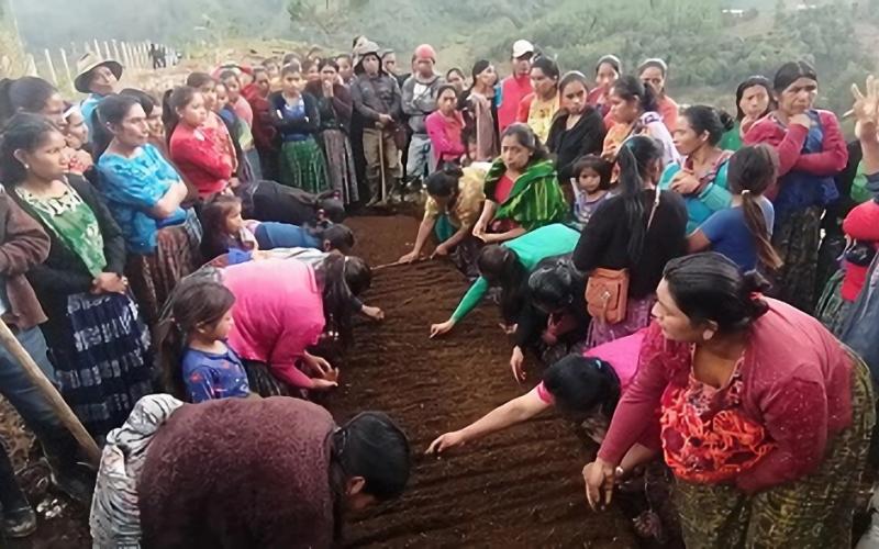 Huertos fortalecerán agricultura familiar en San Juan Chamelco