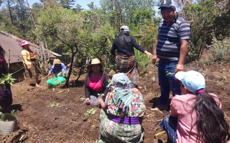 Implementan huerto comunitario en aldea Agua Tibia, San Marcos