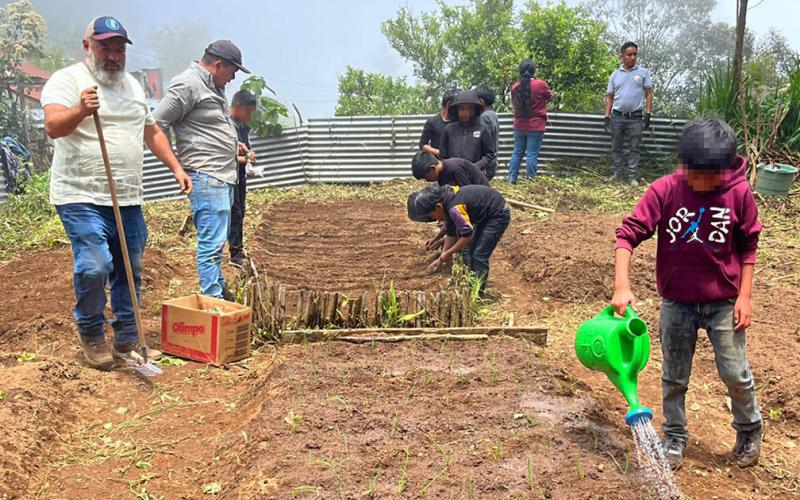 Impulsan huertos escolares pedagógicos en Huehuetenango 