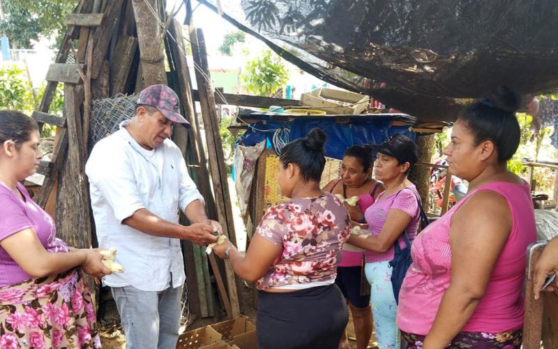 Jornada de vacunación de pollos de engorde en Melchor de Mencos