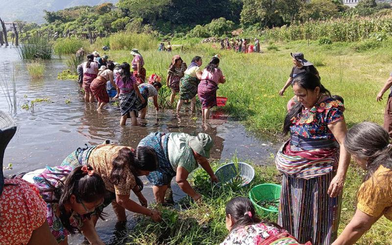 Más de siete mil familias participaron en proyectos comunitarios y recibieron alimentos como incentivo