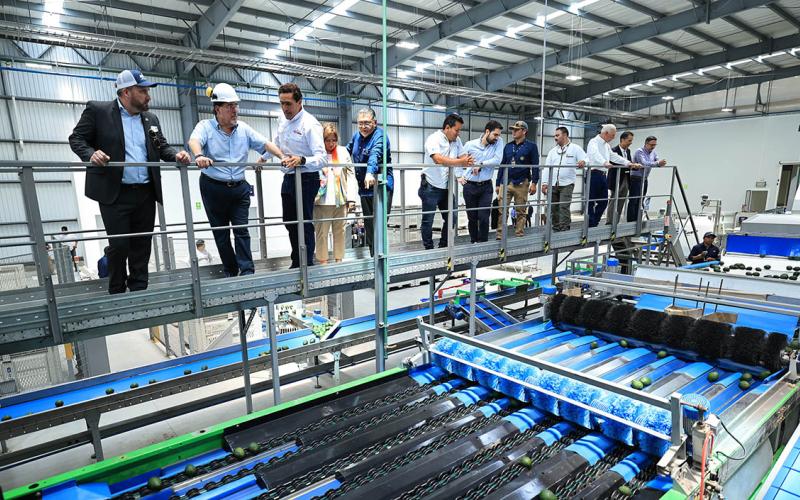 Nueva planta empacadora de aguacate fortalecerá exportación del fruto