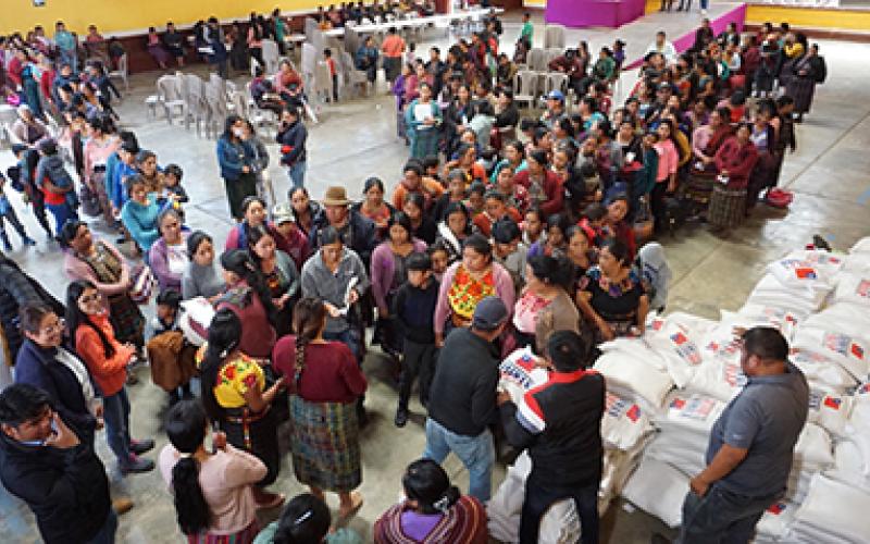 ENTREGA DE INSUMOS SOLOLÁ