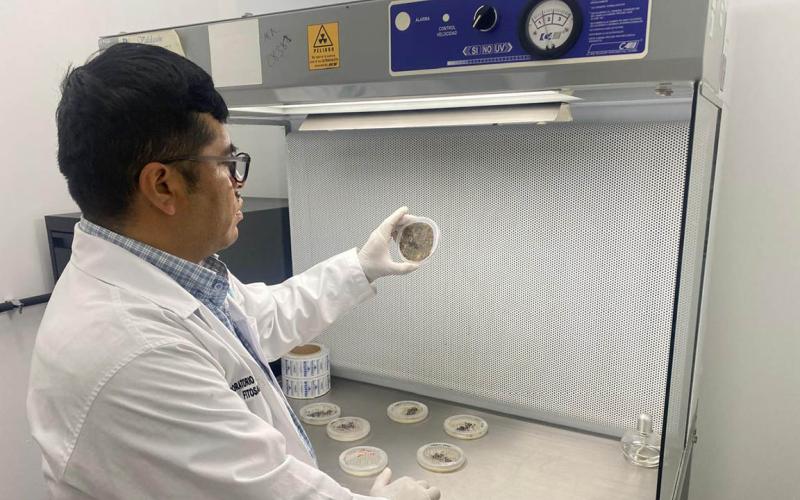 Realizados más de tres mil diagnósticos fitosanitarios 