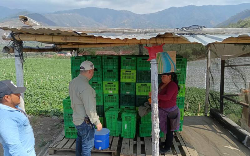 Registrados más de 36 mil productores orgánicos