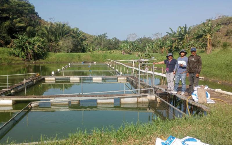Se fortalece la producción acuícola en Petén con asistencia técnica especializada