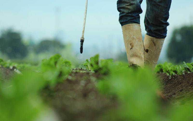 Semana Santa calurosa
