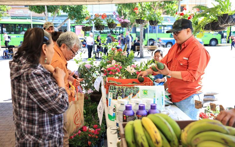 Un desfile de colores comestibles en cada canasta