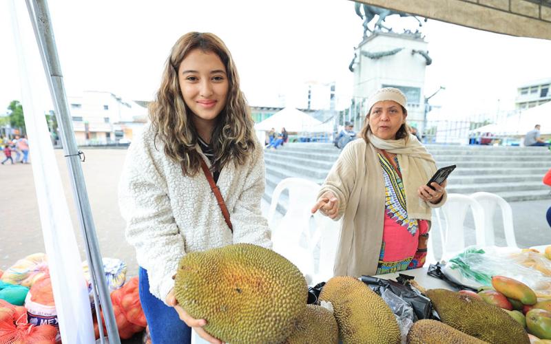 Yaca, un cultivo que crece en el país