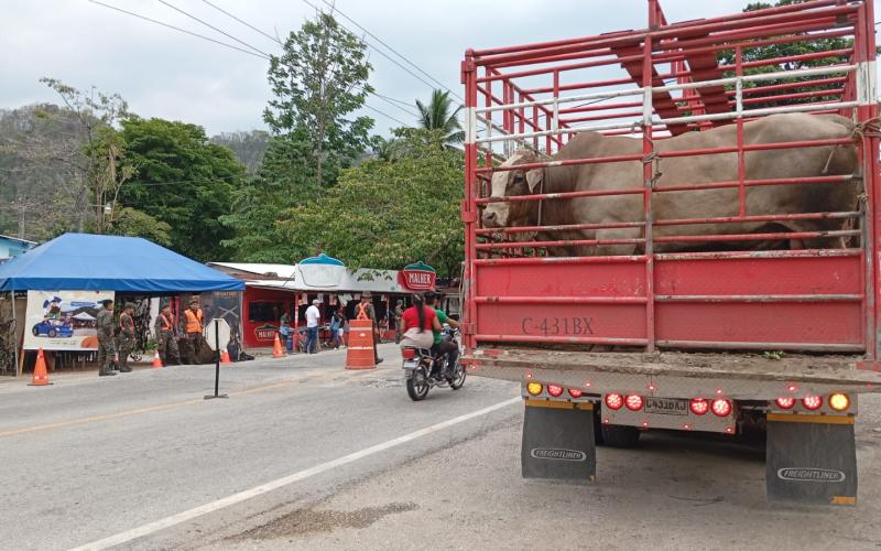 Avanza la lucha contra el Gusano Barrenador con más de 26 mil animales atendidos