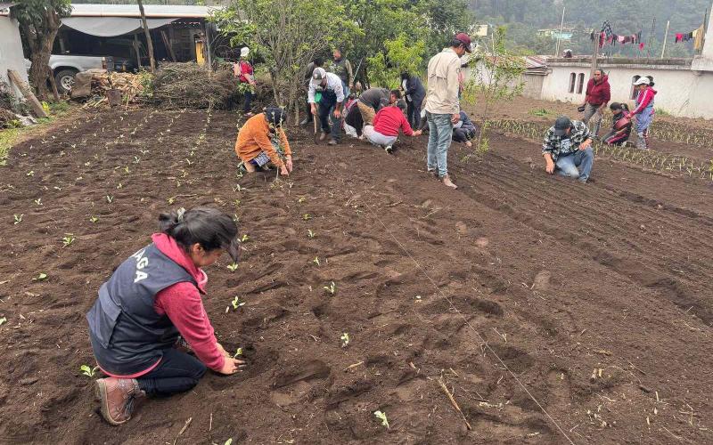 Huertos escolares y comunales fortalecen agricultura familiar en San Marcos