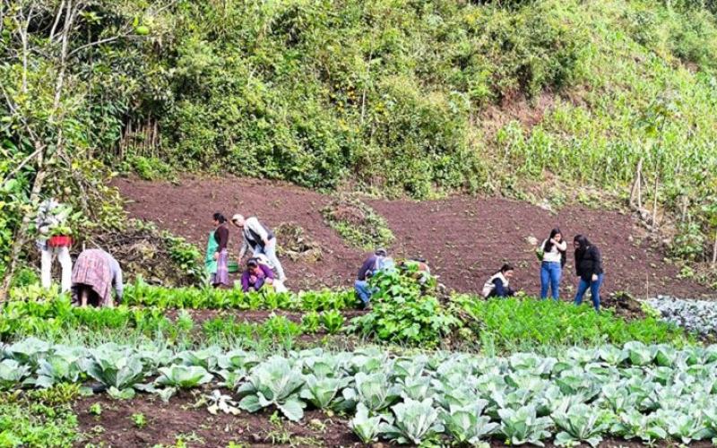 Presentan ruta de acción para abordar hambre estacional y la desnutrición aguda