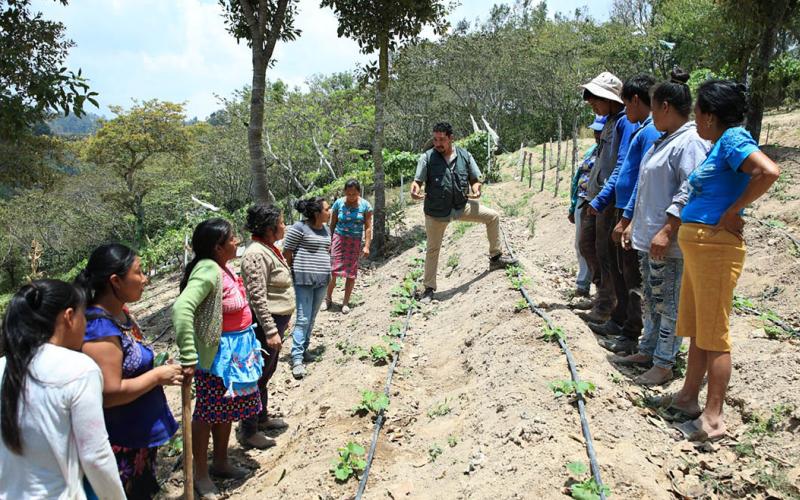 AGROVIDA fortalece agricultura familiar en Suquinay con enfoque integral