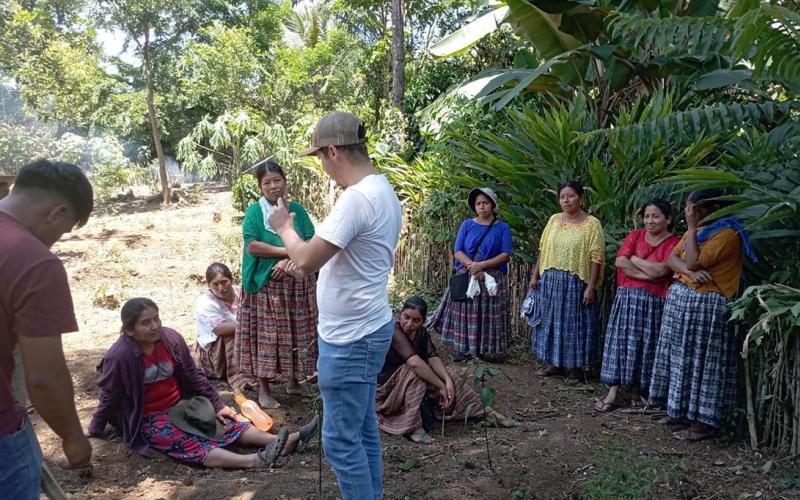 Acciones del MAGA han beneficiado a 50 mil pobladores de Alta Verapaz