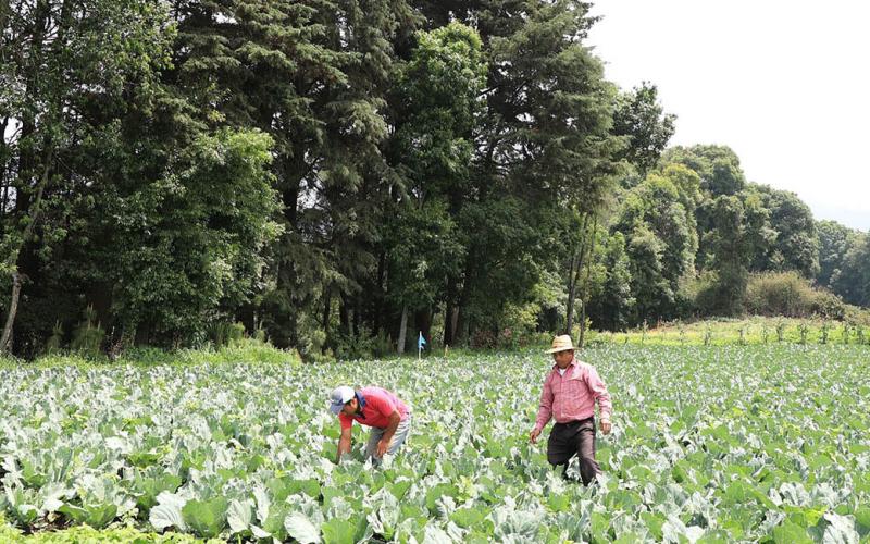 Acciones sostenibles fortalecen el uso responsable de los recursos naturales