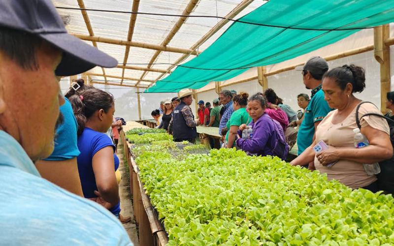 Agricultores de Masagua fortalecen conocimientos en agricultura familiar