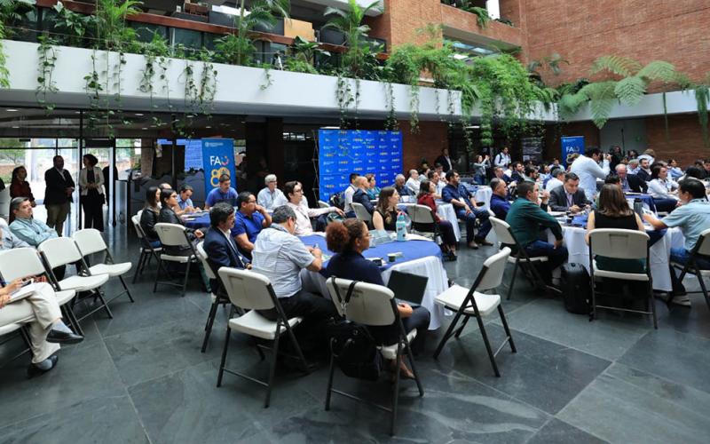 Café guatemalteco avanza hacia un café sostenible y libre de deforestación 