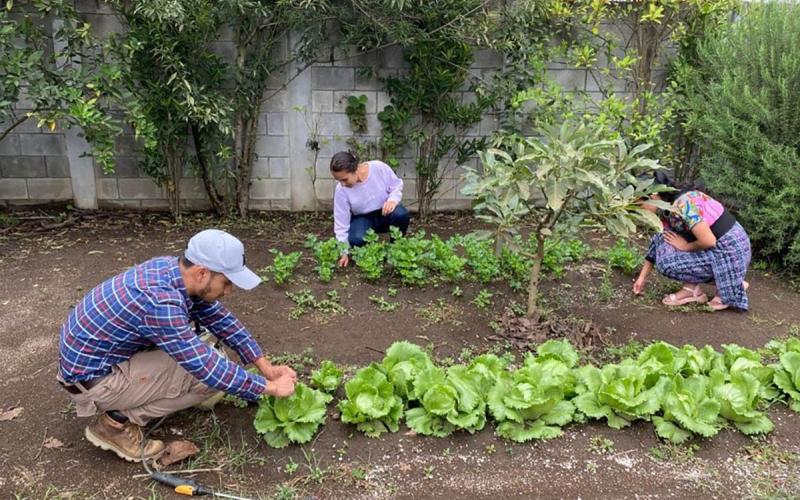 Súmate al proyecto “Jóvenes Apoyando al Extensionismo Rural: Campesino a Campesino”