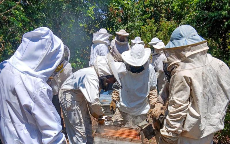 Capacitan a apicultores de Sayaxché en uso de trampas para propóleo