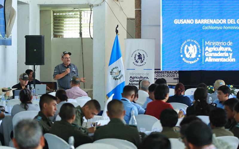 Capacitan a ganaderos y estudiantes para combatir el Gusano Barrenador del Ganado
