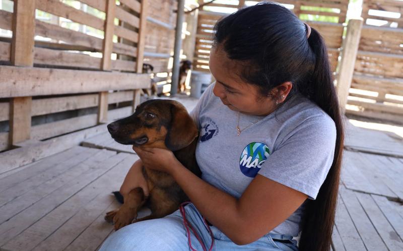 Día Mundial del perro sin raza, una fecha para celebrar la diversidad canina
