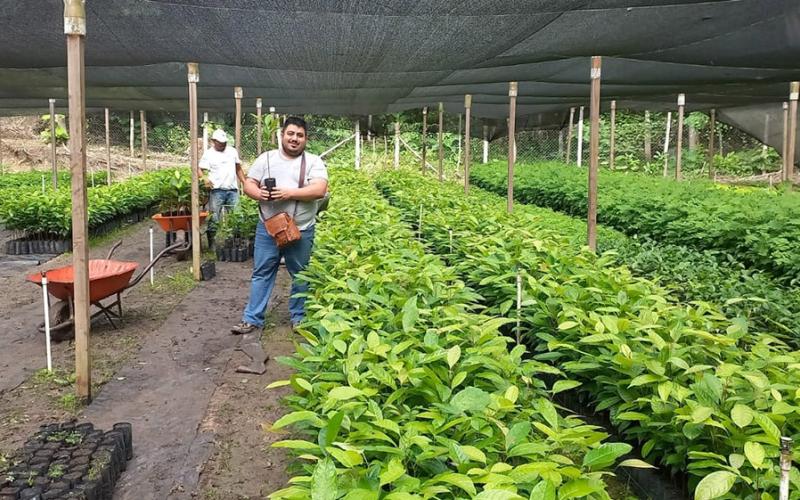 El agro celebra al árbol: clave para un campo más fértil y sostenible