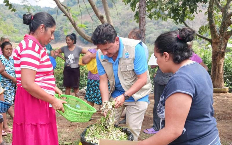 Entregan 80 mil pilones para el establecimiento de huertos familiares en Amatitlán