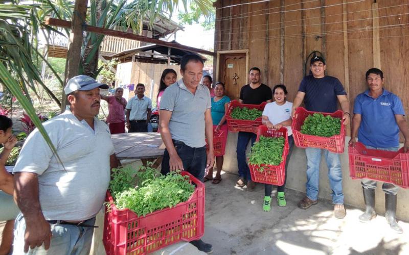 Establecen huertos familiares en Champas Quemadas, Poptún